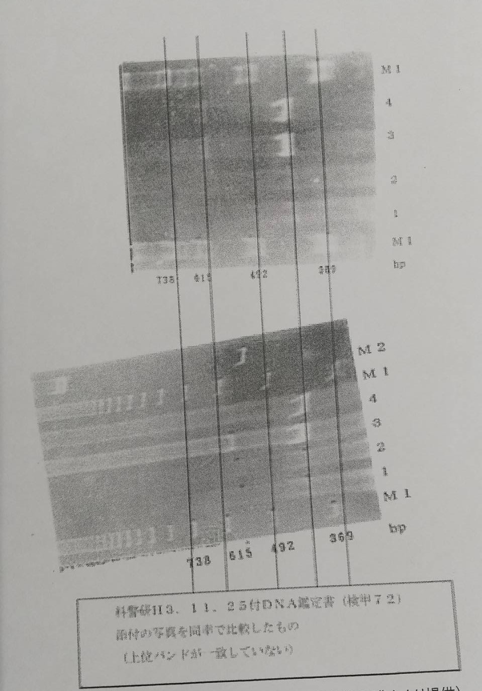 科警研が一審裁判に提出したDNA型鑑定の写真。かなりずれているのが分かる。筑波大の本田克也元教授箱の写真を見て歪みがひどく、鑑定に失敗していることが分かる写真だ。これが裁判に提出されている事を見ると、これが最高の写真で、鑑定自体失敗していたことが分かると指摘した。